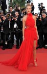 Best Dressed at Cannes Film Festival